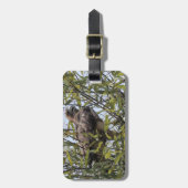 Rotschwanzgepäck Gepäckanhänger (Vorderseite vertikal)