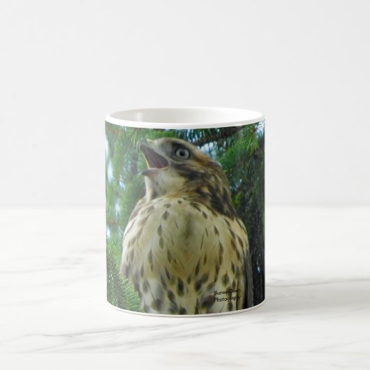 Rotschwanzhahn Kaffeetasse (Mittel)