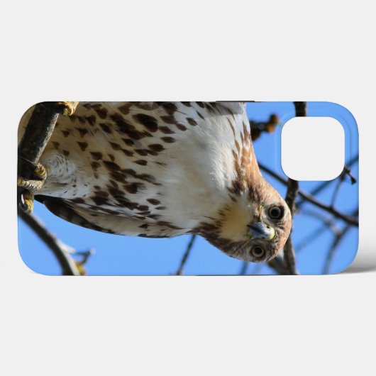 Rotschwanzhawk, Apple iPhone 13 Fall Case-Mate iPhone Hülle (Rückseite (Horizontal))