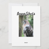 Rotschwanzhawk Feiertagskarte (Rückseite)