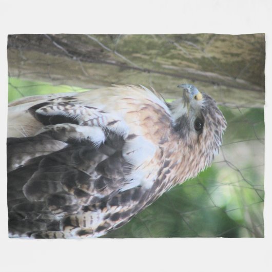 Rotschwanzhawk Fleecedecke (Vorderseite (Horizontal))