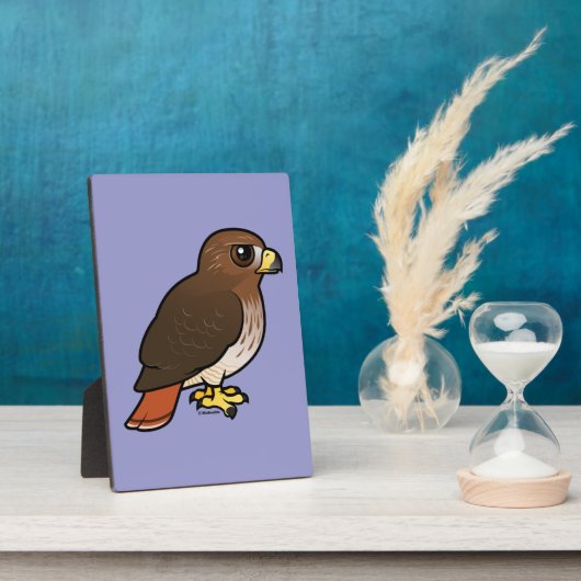 Rotschwanzhawk Fotoplatte (Seite)