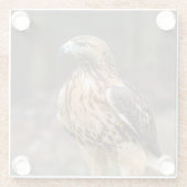 Rotschwanzhawk im Hudson-Tal Glasuntersetzer (Rückseite)