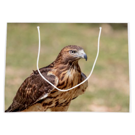 Rotschwanzhawk im Hudson-Tal Große Geschenktüte (Vorderseite)