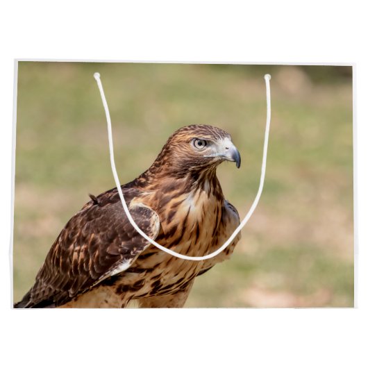 Rotschwanzhawk im Hudson-Tal Große Geschenktüte (Rückseite)