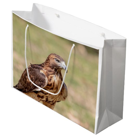 Rotschwanzhawk im Hudson-Tal Große Geschenktüte (Vorderseite Schrägansicht)