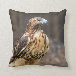 Rotschwanzhawk im Hudson-Tal Kissen