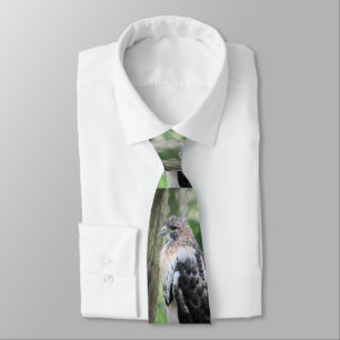 Rotschwanzhawk Krawatte