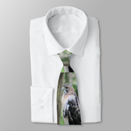 Rotschwanzhawk Krawatte (Gebunden)