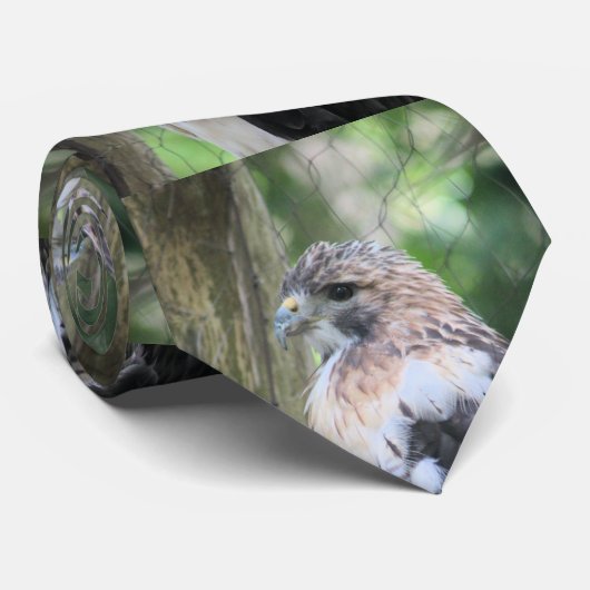 Rotschwanzhawk Krawatte (Gerollt)