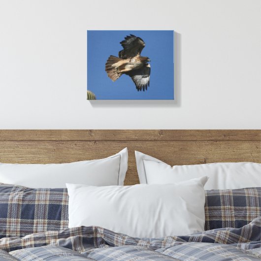 Rotschwanzhawk Leinwanddruck (Insitu (Schlafzimmer))