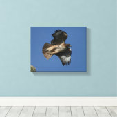 Rotschwanzhawk Leinwanddruck (Insitu (Holzboden))