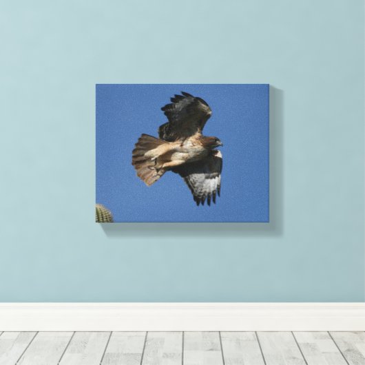 Rotschwanzhawk Leinwanddruck (Insitu (Holzboden))