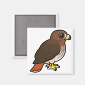 Rotschwanzhawk Magnet (Vorderseite/Rückseite)