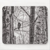 Rotschwanzhawk P8443 Mousepad (Vorne)