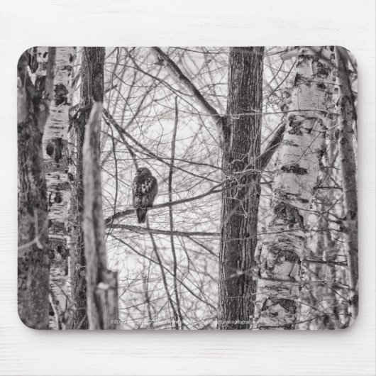 Rotschwanzhawk P8443 Mousepad (Vorne)