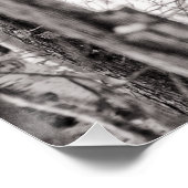 Rotschwanzhawk P8443 Poster (Ecke)