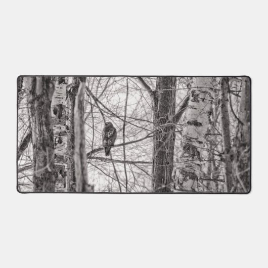 Rotschwanzhawk P8443 Schreibtischunterlage (Vorderseite)