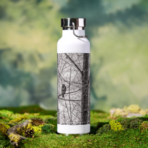 Rotschwanzhawk P8443 Trinkflasche