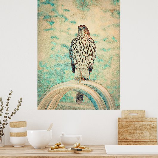 Rotschwanzhawk Poster (Küche)