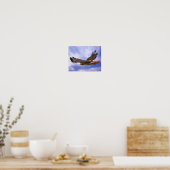 Rotschwanzhawk Poster (Küche)