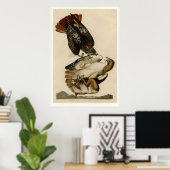 Rotschwanzhawk Poster (Heimbüro)