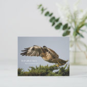 Rotschwanzhawk Postkarte (Stehend Vorderseite)