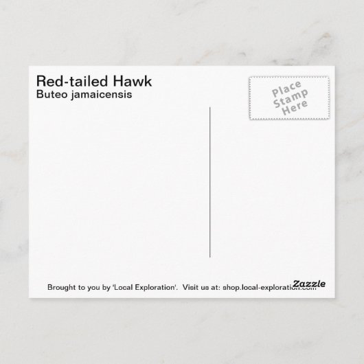 Rotschwanzhawk Postkarte (Rückseite)