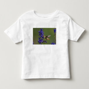 Rotschwanzkolibri Kleinkind T-shirt