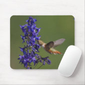 Rotschwanzkolibri Mousepad (Mit Mouse)