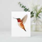 Rotschwanzkolibri Postkarte (Stehend Vorderseite)