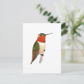 Rotschwanzkolibri Postkarte (Stehend Vorderseite)