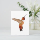Rotschwanzkolibri Postkarte (Stehend Vorderseite)
