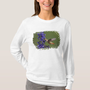 Rotschwanzkolibri T-Shirt