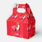 RotschwanzMeerjungfrau Geschenkschachtel (Vorderseite)