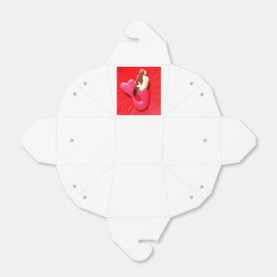 RotschwanzMeerjungfrau Geschenkschachtel