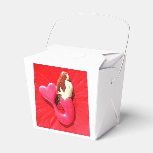 RotschwanzMeerjungfrau Geschenkschachtel (Vorderseite)