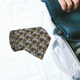 Rotschwanzpattern-Foto Krawatte