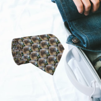 Rotschwanzpattern-Foto Krawatte