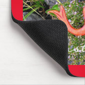 Rotschwanzsirena Mousepad (Ecke)