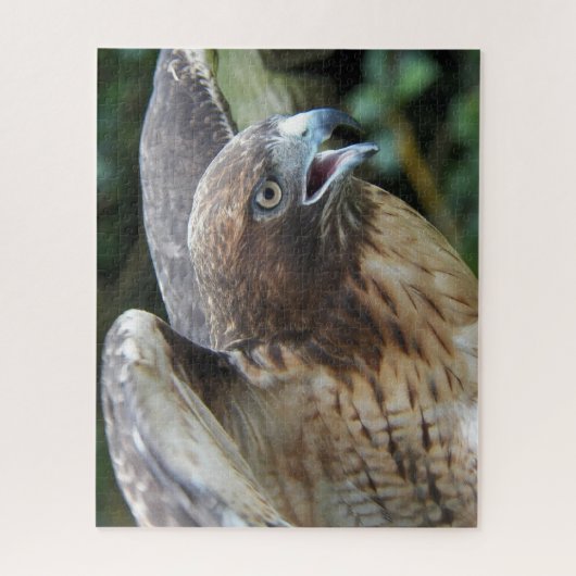 Rotschwanztier Puzzle (Vertikal)