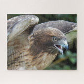 Rotschwanztier Puzzle (Horizontal)