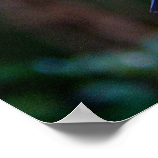 Rotschwanzvogel Poster (Ecke)