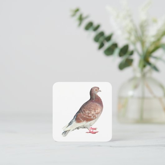 Rotschweine Quadratische Visitenkarte (Stehend Vorderseite)