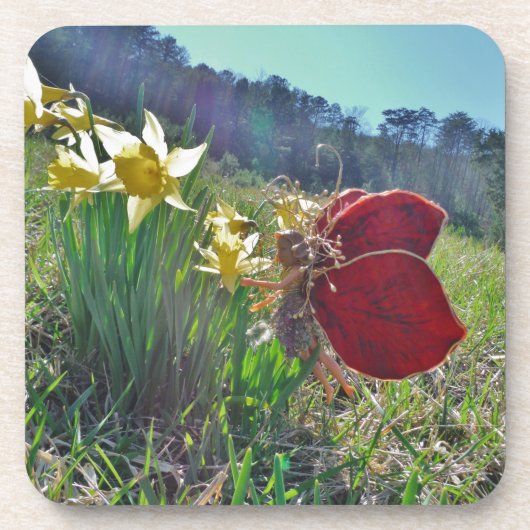 Rotschwingfee und Narzissen Getränkeuntersetzer (Vorderseite)