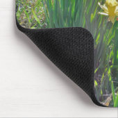 Rotschwingfee und Narzissen Mousepad (Ecke)