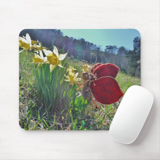 Rotschwingfee und Narzissen Mousepad (Mit Mouse)