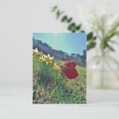Rotschwingfee und Narzissen Postkarte (Stehend Vorderseite)