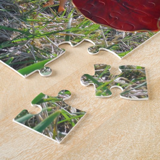 Rotschwingfee und Narzissen Puzzle (Seite)