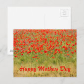 Rotsommerliche Blume, Muttertag Postkarte (Vorne/Hinten)